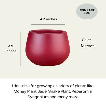 Minimal Maroon Terracotta Planter