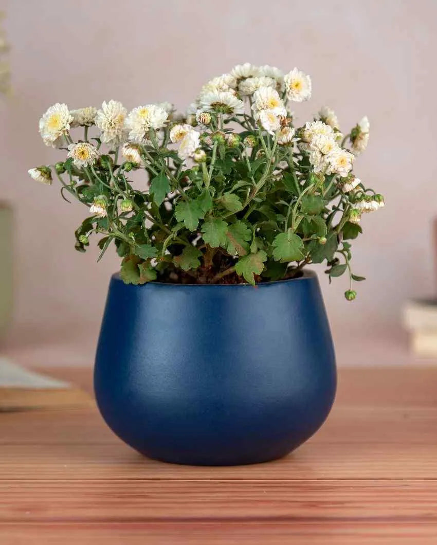 Dark Blue Beautiful Minimal Terracotta Planter