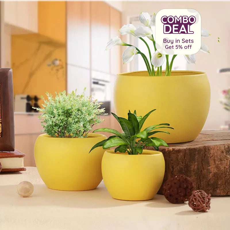 Matte Finished Elegant Table Top Planters | Pack of 3