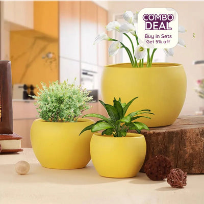 Matte Finished Elegant Table Top Planters | Pack of 3