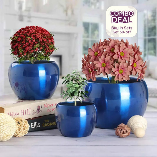 Sunshine Elegant Metallic Finished Table Top Planters | Pack of 3