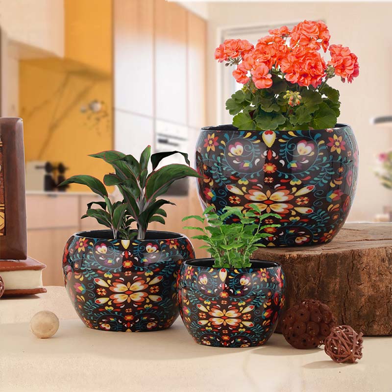 Multicolor Finished Elegant Table Top Planters | Set Of 3 - Dusaan