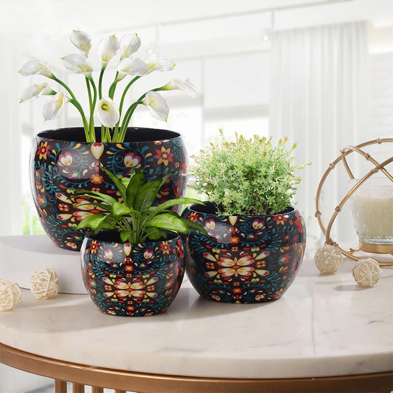 Multicolor Finished Elegant Table Top Planters | Set Of 3 - Dusaan