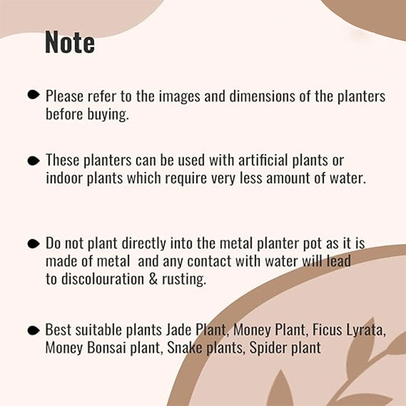 Vihana Elegant Table Top Planters | Set Of 3 - Dusaan
