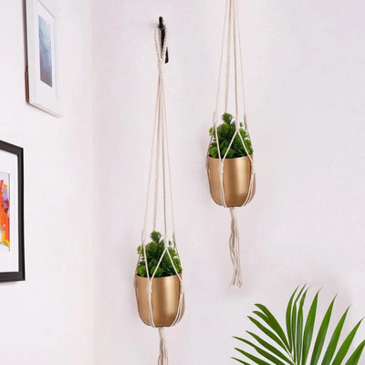 Golden Metal Planter Pot With Macrame Plant Hangers | Set of 2 Default Title