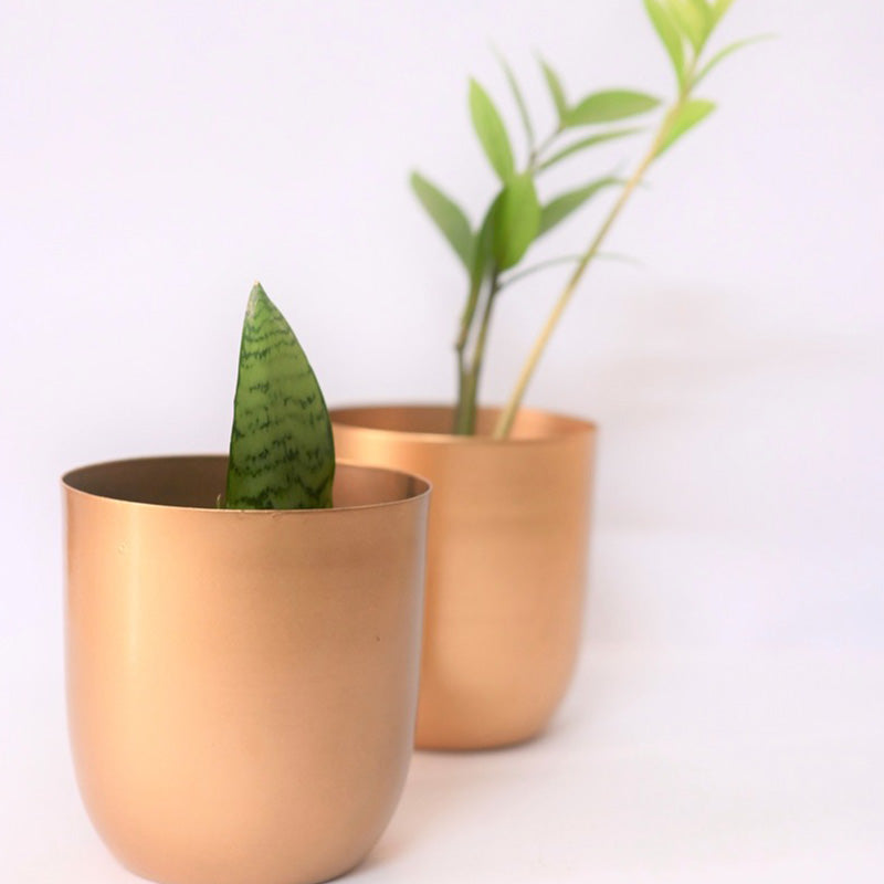 Golden Metal Planter Pot With Macrame Plant Hangers | Set of 2 Default Title