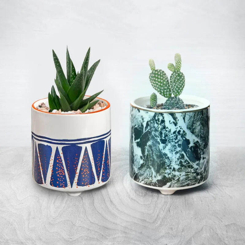 Modern Indoor Ceramic Planters Default Title