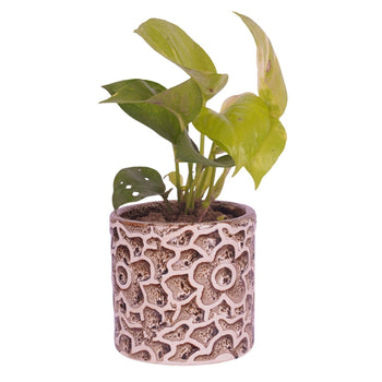 Ceramic Planter Pot for Greenery | 4 Inches Default Title