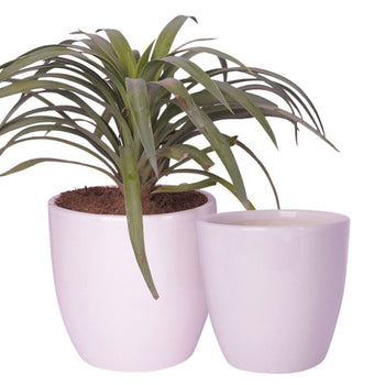 Versatile Indoor Planter Pot | Set of 2 Default Title