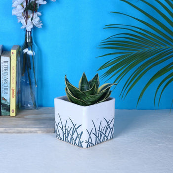 Trendy Ceramic Planter Pot | 4 Inches Default Title
