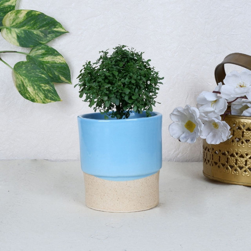 Classy Ceramic Planter Pot | Set of 2 Default Title