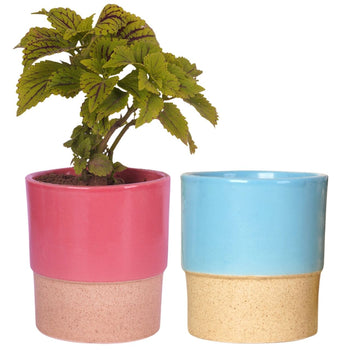 Classy Ceramic Planter Pot | Set of 2 Default Title