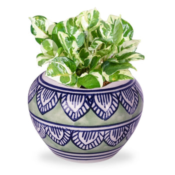 Greenery Ceramic Planter Pot | 3 Inches Default Title