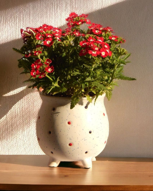 Colorful Dotted Ceramic Planter Pot Indoor Greenery | 3 Inch