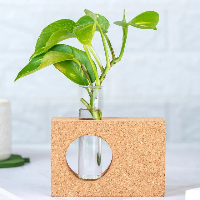 Minimal Cork Table Test Tube Planter Vase | Plant Not Included | 5 x 2 x 3 inches