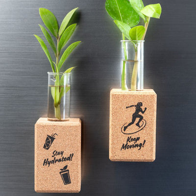 Cork Pen Holder And Planter Bud Vase | Plant Not Included