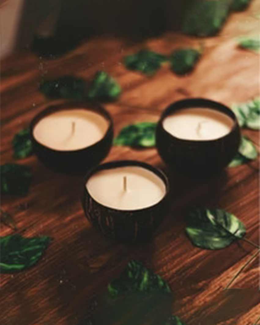 Premium Coconut Shell Soy Wax Candle | Set of 2 , Set of 4 | 4 inches