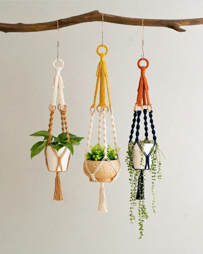 Cotton Cord Macramé Plant Hangers | Set of 3