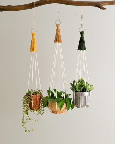 Boho Touch Macrame Plant Hangers | Set of 3