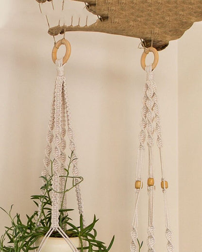 Eco Macrame Cotton Cord Plant Hangers | Set of 3 | 24 x 6 inches