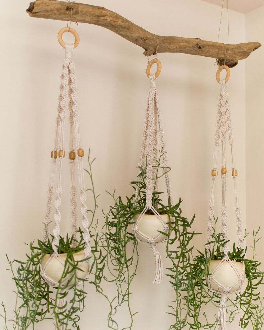 Eco Macrame Cotton Cord Plant Hangers | Set of 3 | 24 x 6 inches