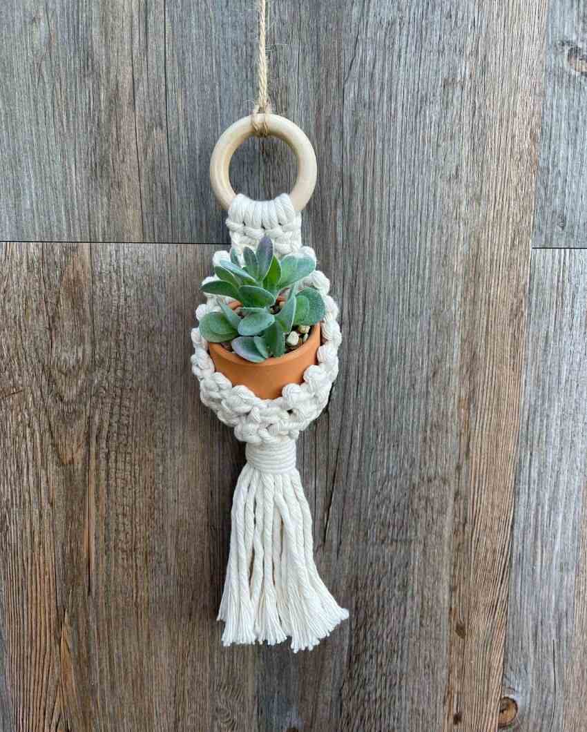 Rustic Cotton Cord Succulent Plant Hanging | 9 x 4 inches