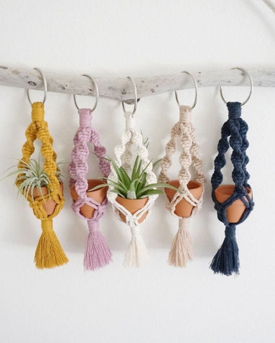 Colorful Cotton Cord Succulent Plant Hangers | Set of 5 | 10 x 3 inches