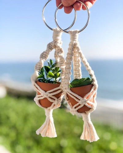 Rustic Cotton Cord Succulent Plant Hangers | Set of 2 | 10 x 3 inches