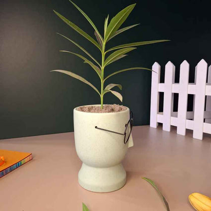 Artistic Ceramic Librarian Planter Pot Without Plant | 4 x 6 inches