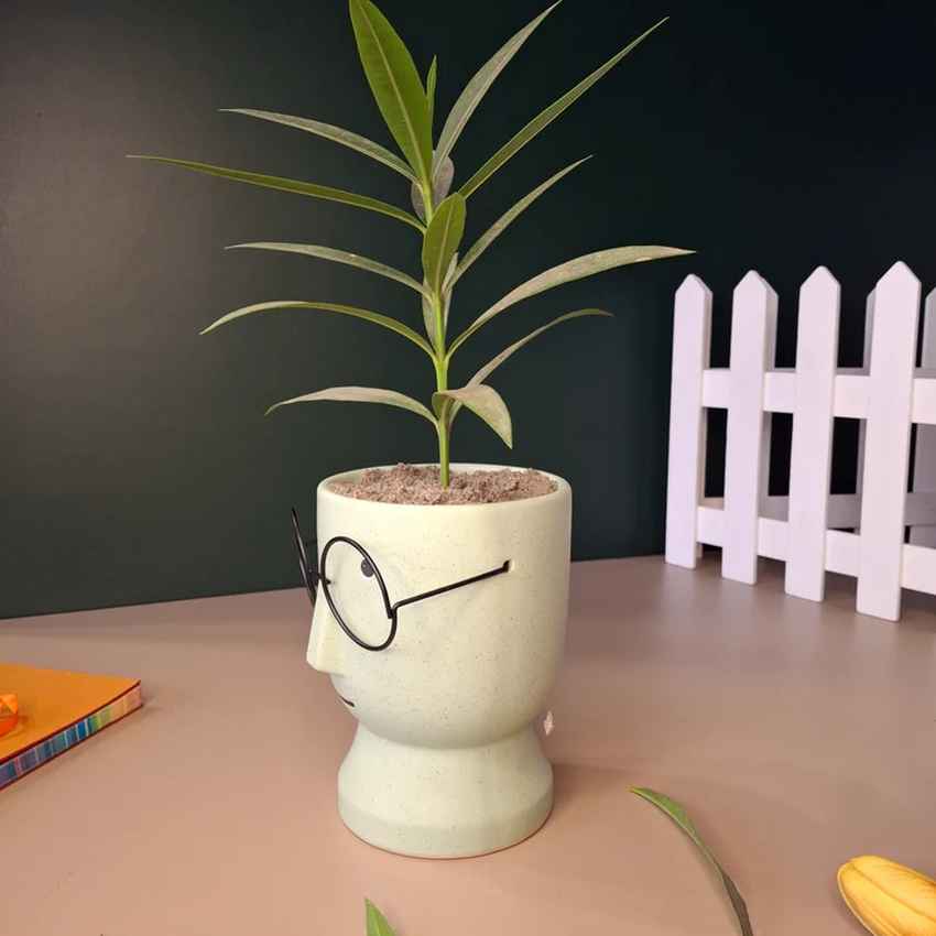 Artistic Ceramic Librarian Planter Pot Without Plant | 4 x 6 inches