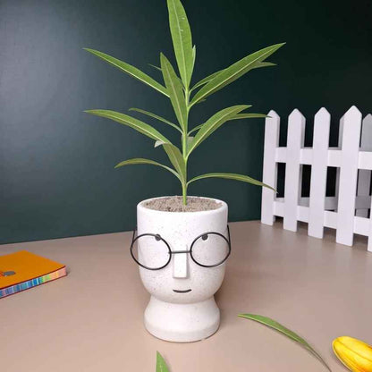 Artistic Ceramic Librarian Planter Pot Without Plant | 4 x 6 inches