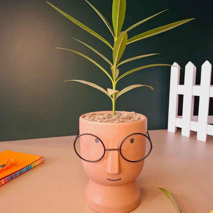 Artistic Ceramic Librarian Planter Pot Without Plant | 4 x 6 inches