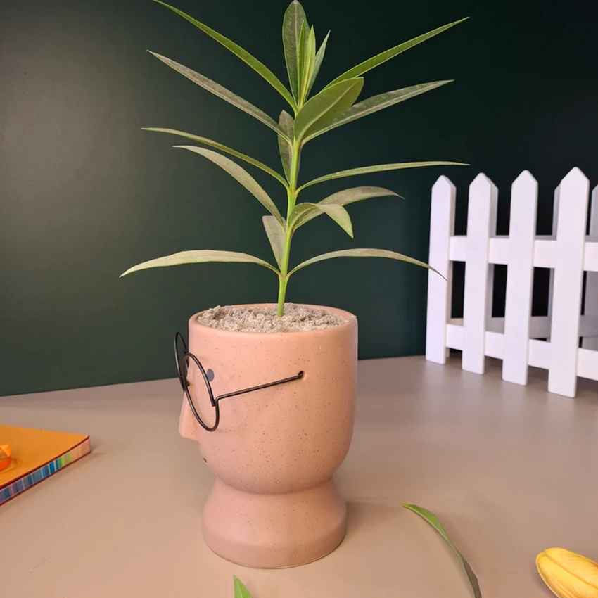 Artistic Ceramic Librarian Planter Pot Without Plant | 4 x 6 inches