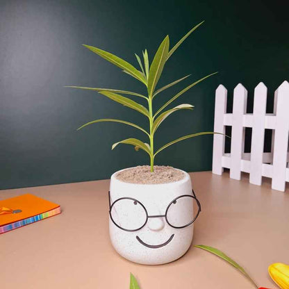 Contemporary Ceramic Prodigy Planter Pot Without Plant | 5 x 4 inches