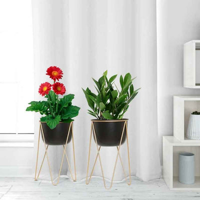 Stylish Gold & Black Metal Pot with Stand Without Plant | Set of 2