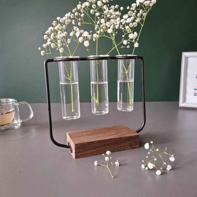 Modern Clear & Brown Glass Test Tube Pot with Wooden Stand Without Plant | Pack of 3