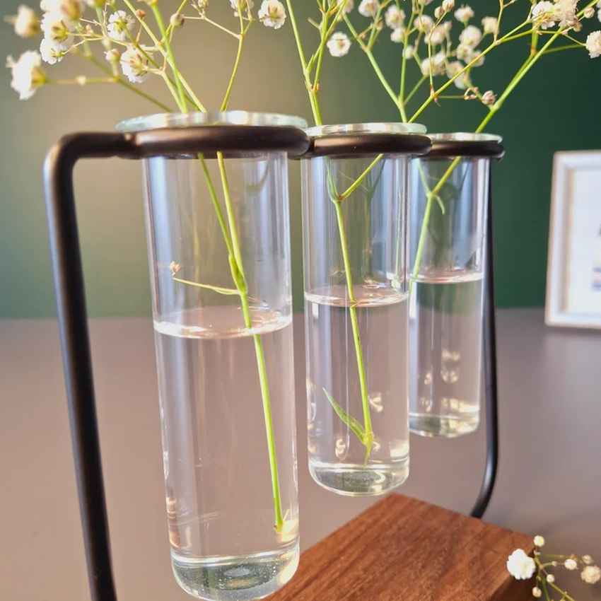 Modern Clear & Brown Glass Test Tube Pot with Wooden Stand Without Plant | Pack of 3