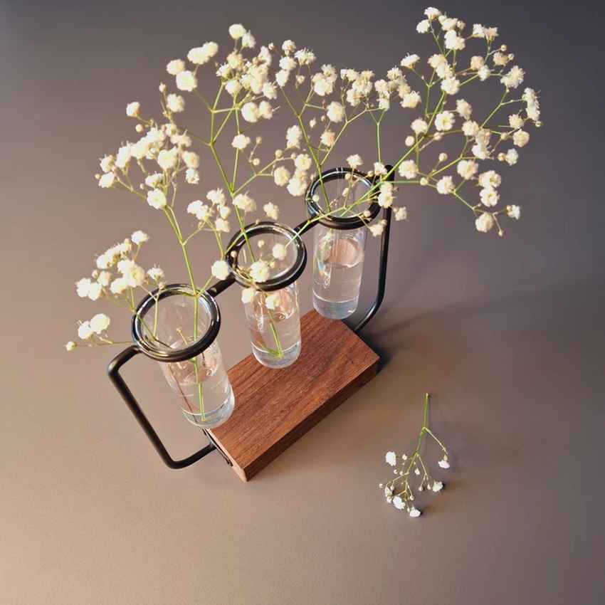 Modern Clear & Brown Glass Test Tube Pot with Wooden Stand Without Plant | Pack of 3