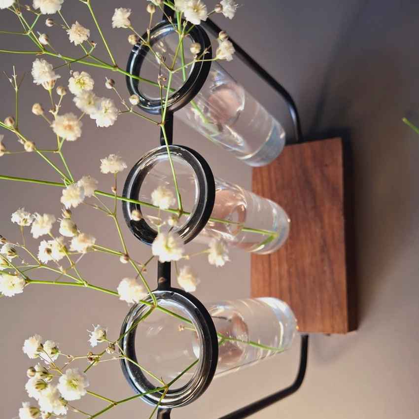 Modern Clear & Brown Glass Test Tube Pot with Wooden Stand Without Plant | Pack of 3