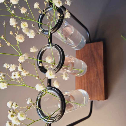 Modern Clear & Brown Glass Test Tube Pot with Wooden Stand Without Plant | Pack of 3