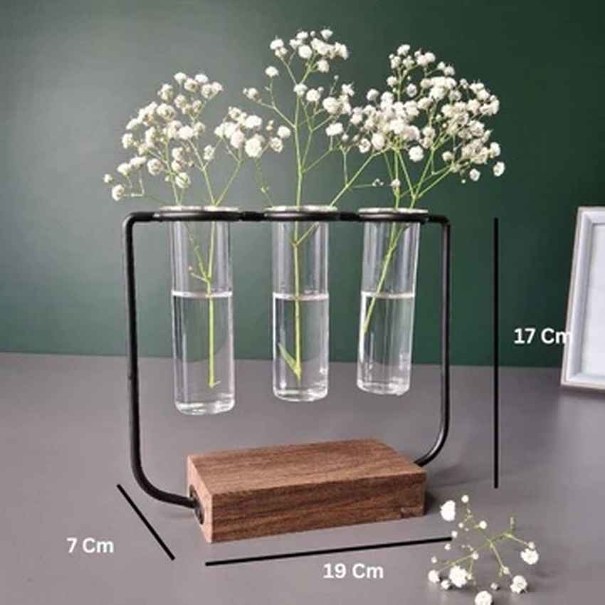 Modern Clear & Brown Glass Test Tube Pot with Wooden Stand Without Plant | Pack of 3