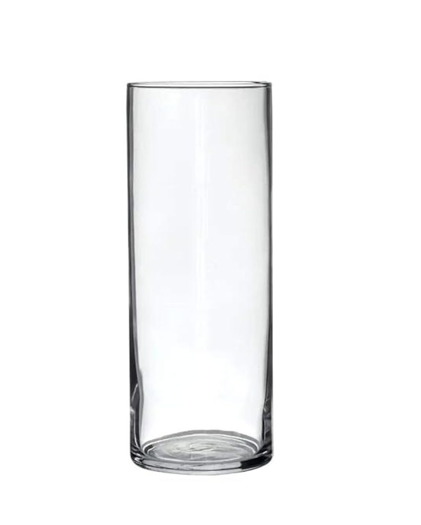 Clear Visions Glass Vase | 3 x 12 inches