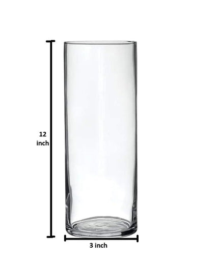 Clear Visions Glass Vase | 3 x 12 inches