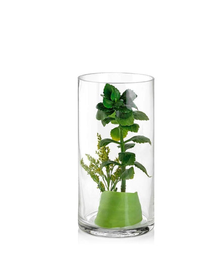 Crystal Clear Creations Stunning Glass Vase | 3 x 6 inches