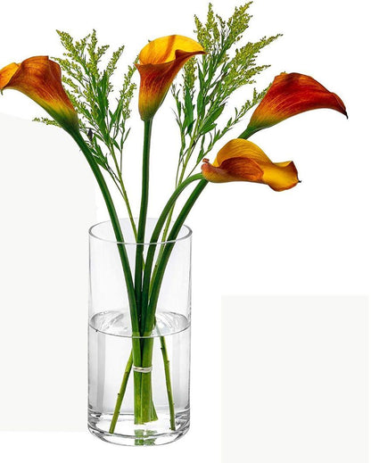 A Clear Choice Glass Vase | 4 x 10 inches