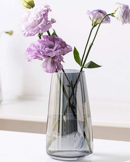 Modern Decorative Glass Vase For Flowers Plants