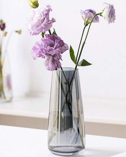 Modern Decorative Glass Vase For Flowers Plants