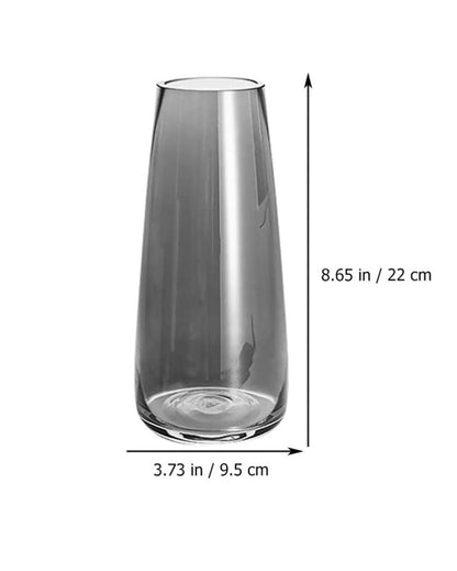 Modern Decorative Glass Vase For Flowers Plants