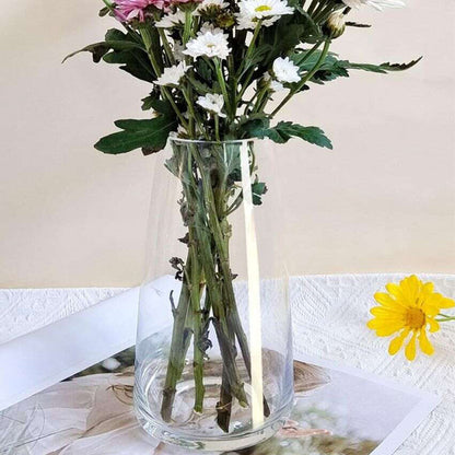 Modern Decorative Glass Vase For Flowers Plants