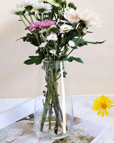 Modern Decorative Glass Vase For Flowers Plants